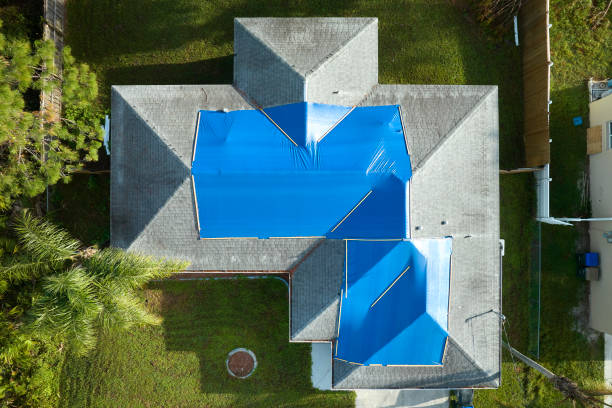 Best Steel Roofing  in Lesslie, SC