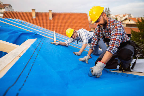 Best Rubber Roofing (EPDM, TPO)  in Lesslie, SC